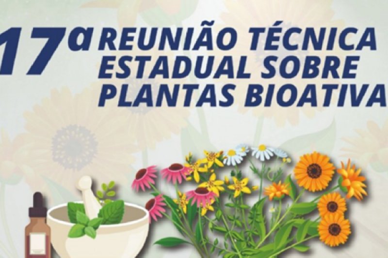 Título