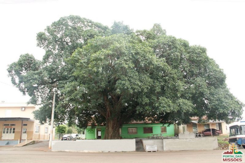 Título