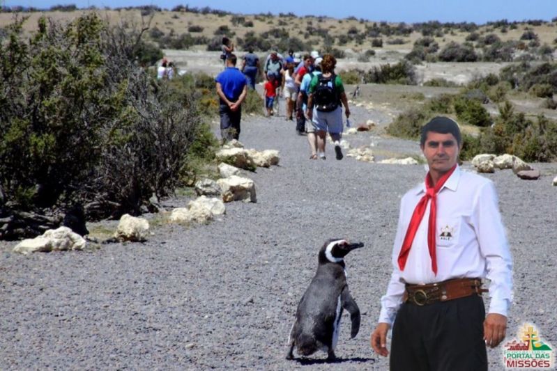 Título