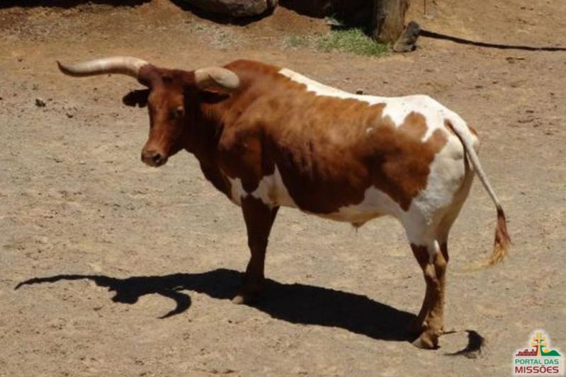 Título