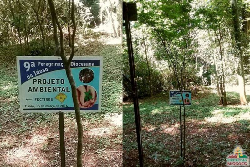 Título