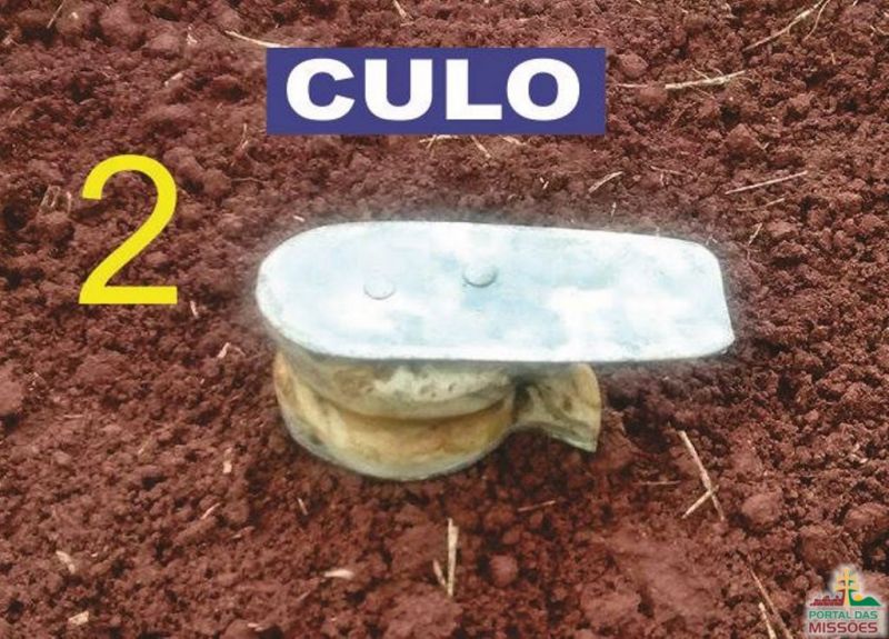 Título