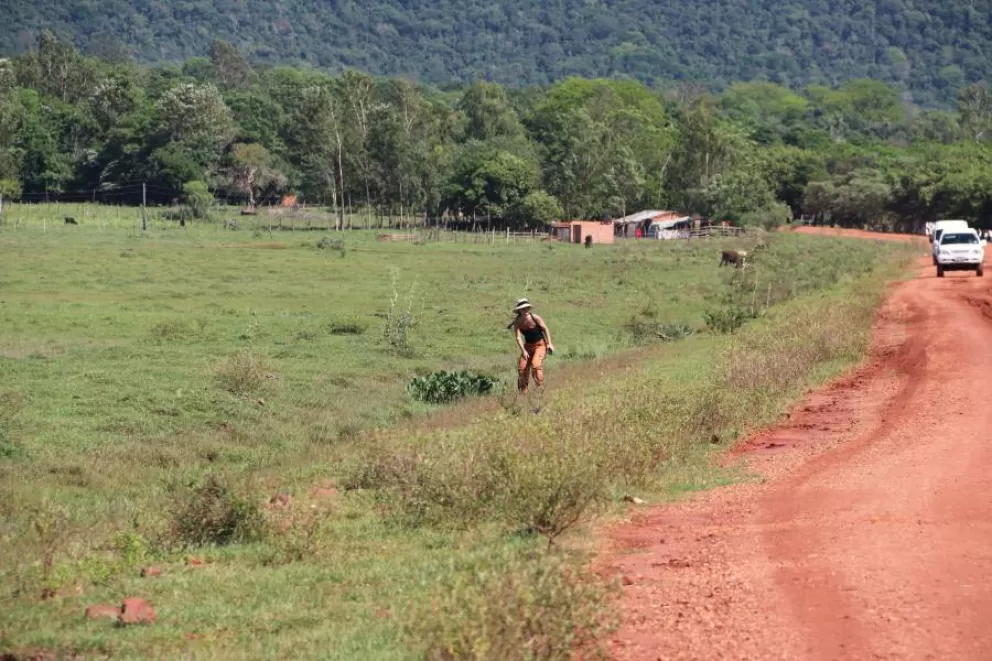 Título