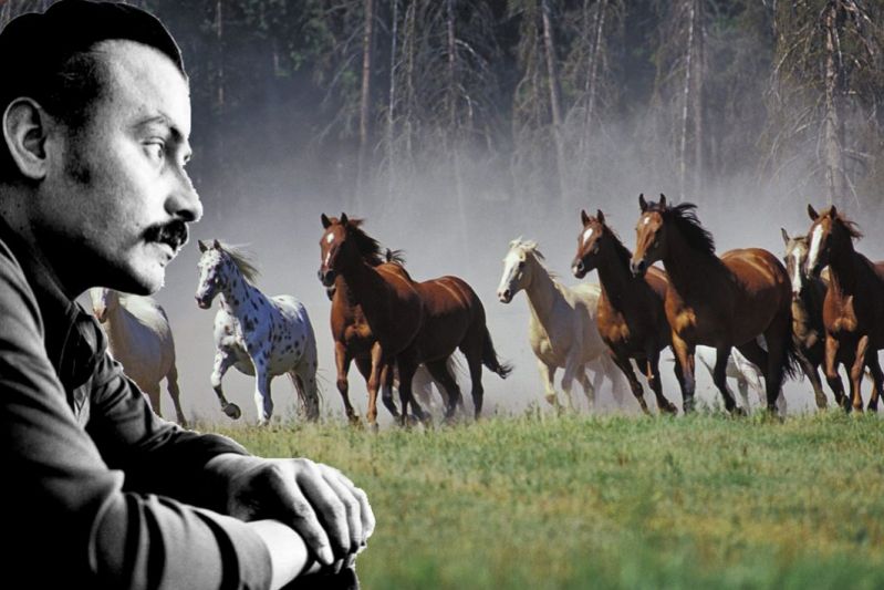 Título
