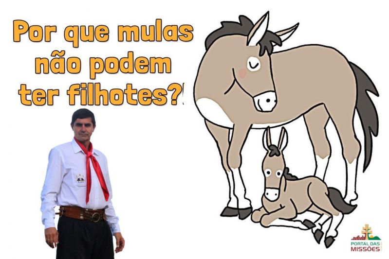 Título