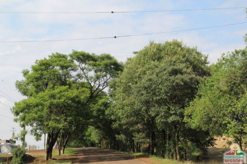 Título