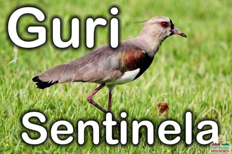 Título