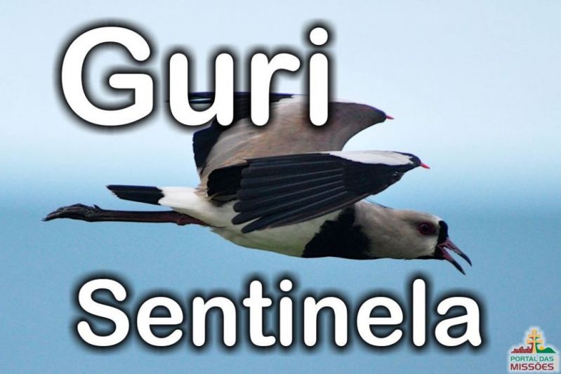 Título