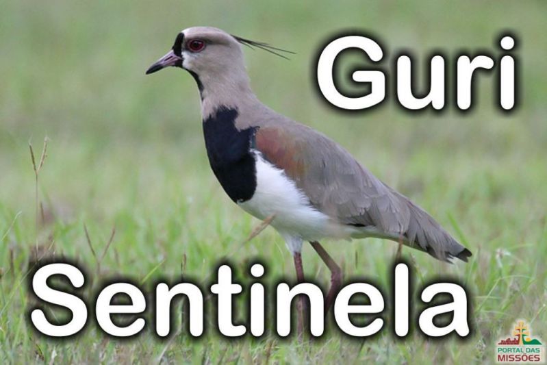 Título