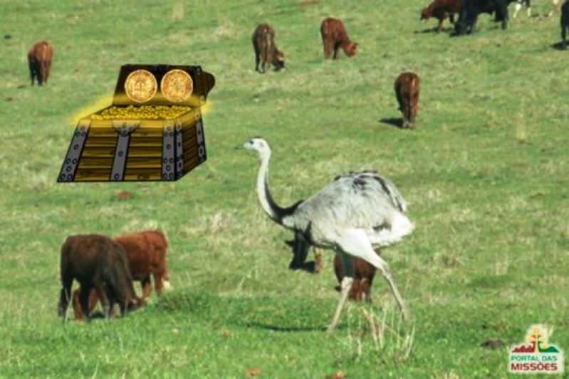 Título