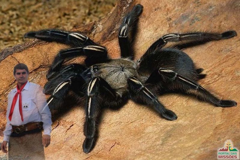 Título