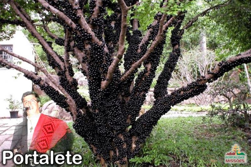 Título