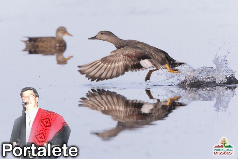 Título