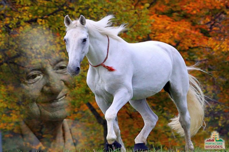 Título