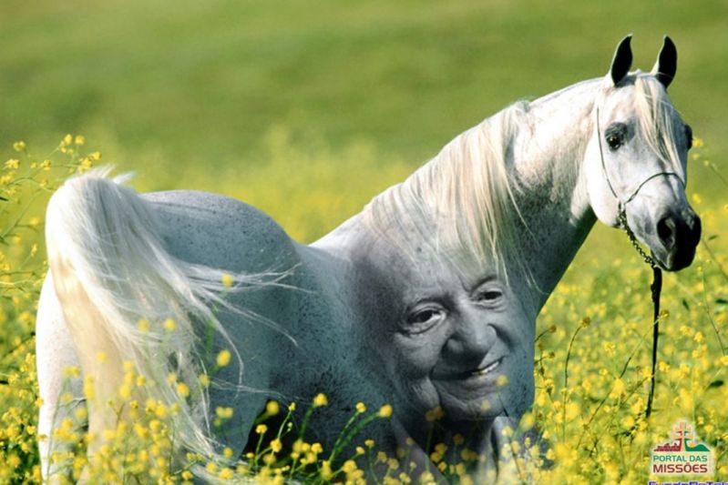 Título