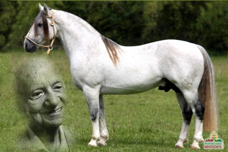 Título