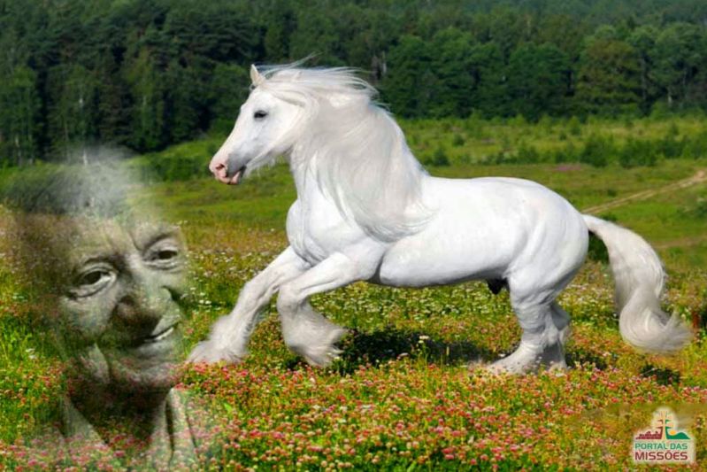 Título