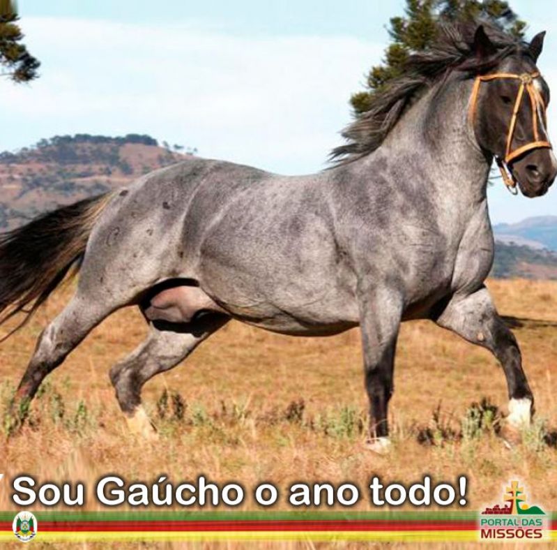 Título