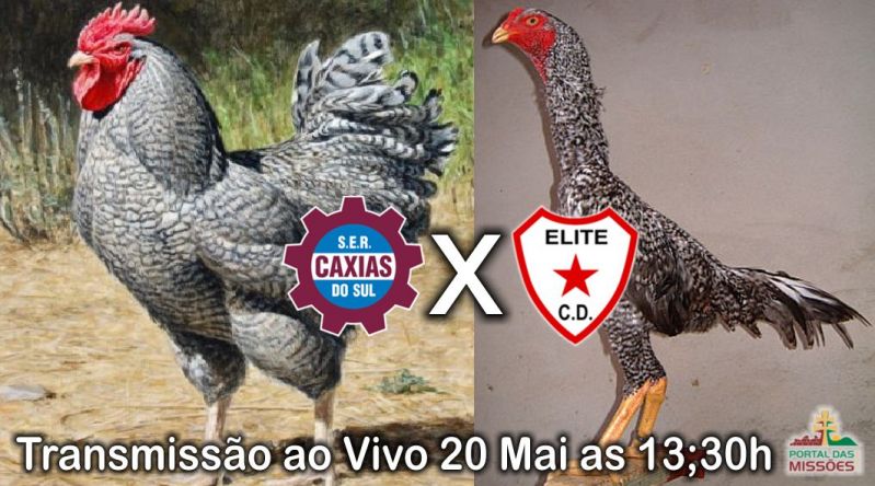 Título