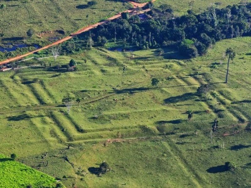 Título