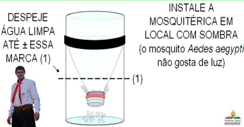 Título