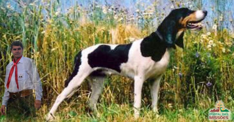 Título