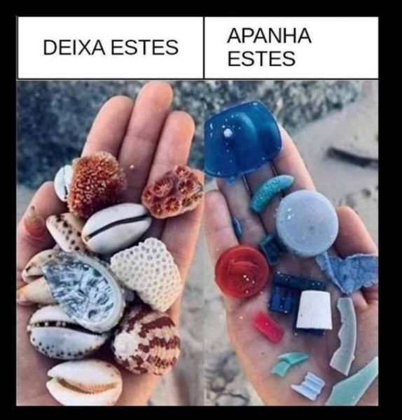 Título