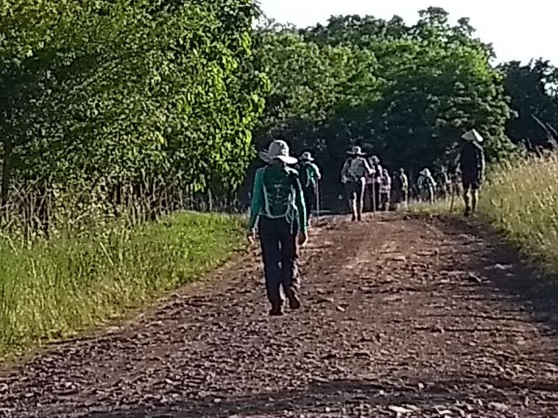 Título