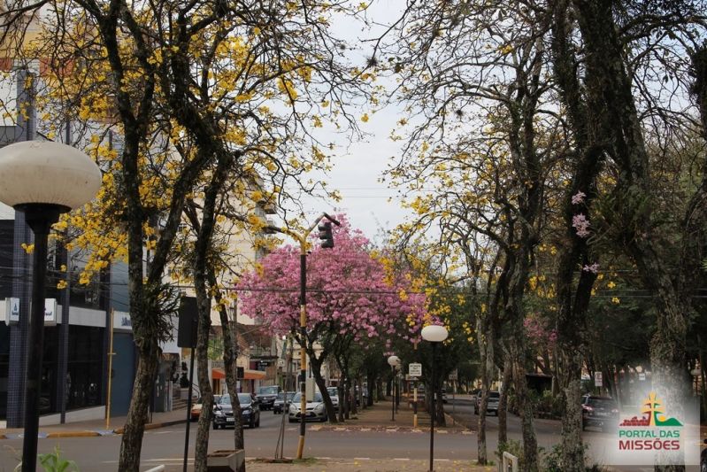 Título