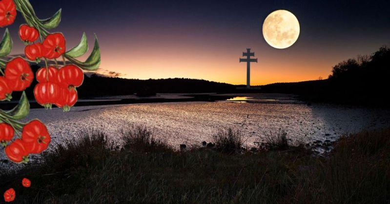 Título