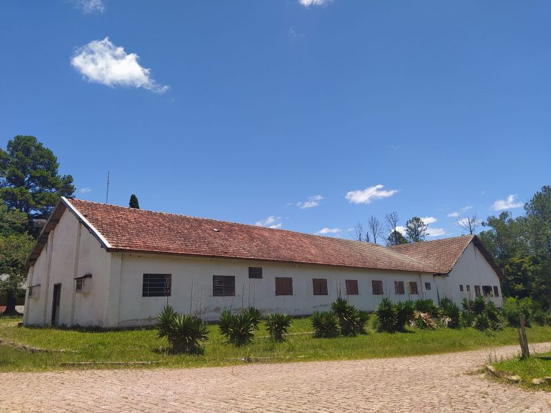 Título