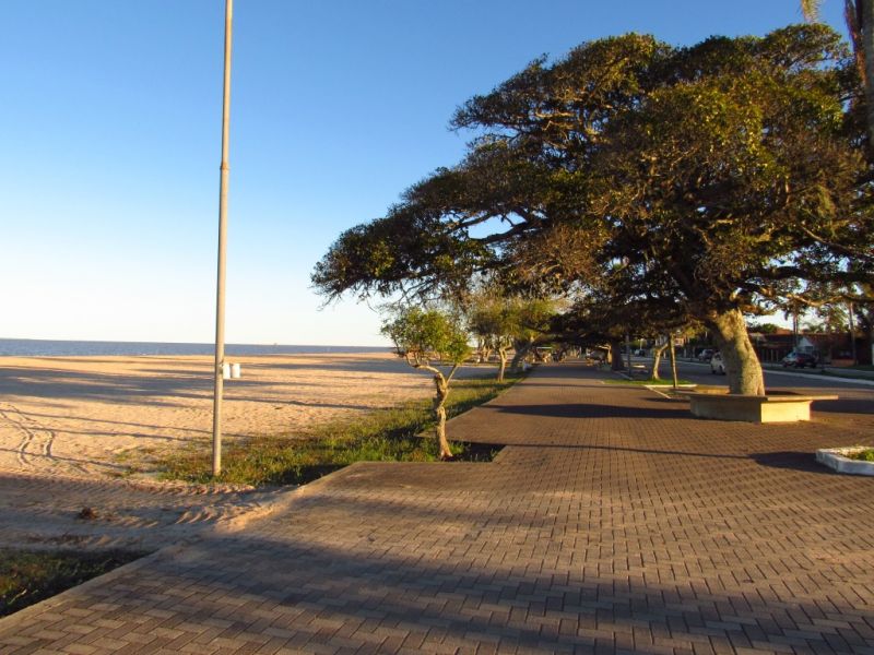 Título