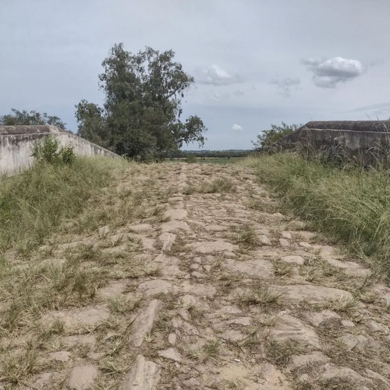 Título