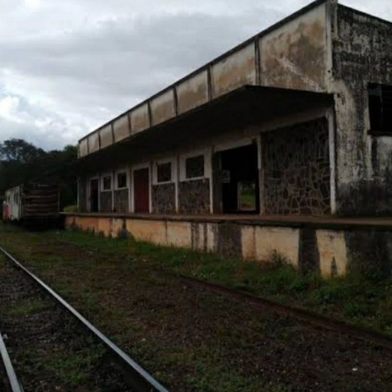 Título