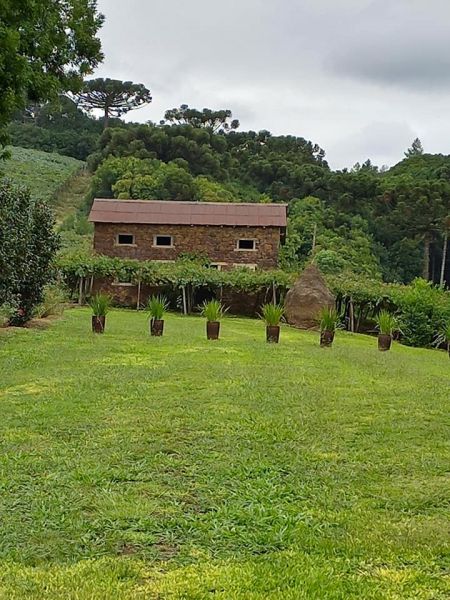 Título