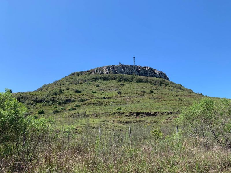 Título