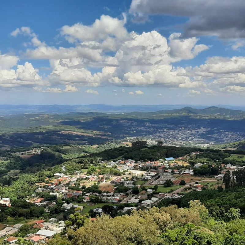 Título