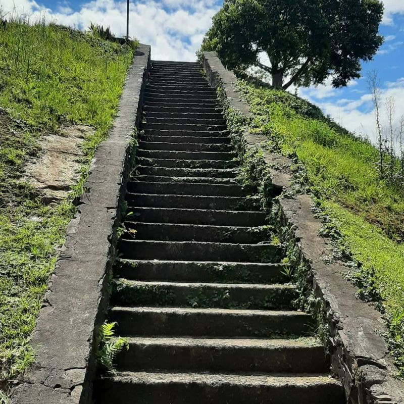Título