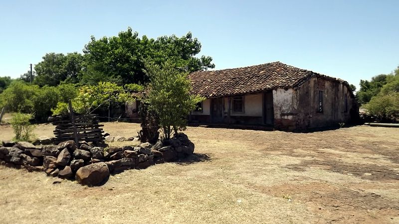 Título