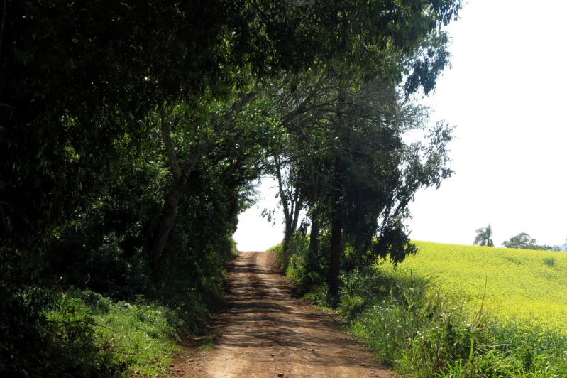 Título
