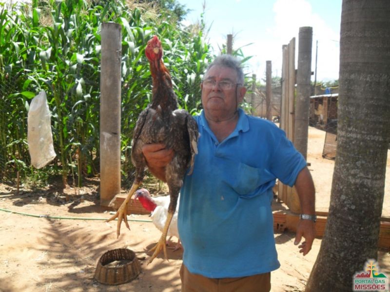 Título