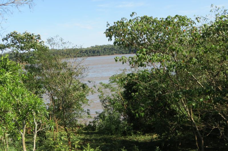 Título