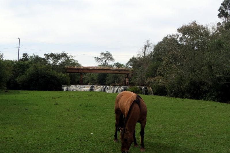 Título