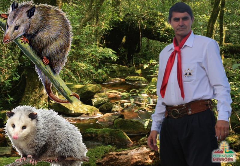Título