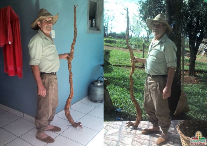 Título